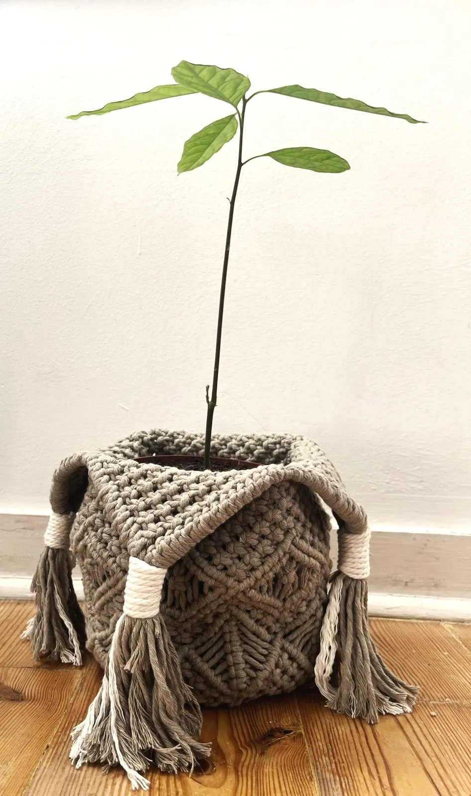 Detail of natural macramé fibres and knots